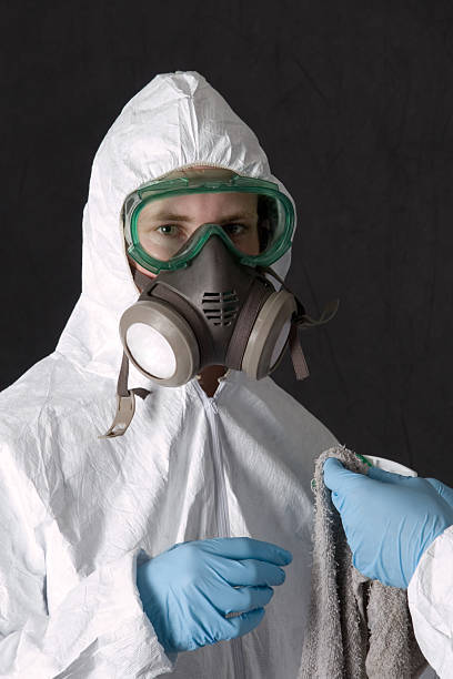 Best Comprehensive Air Testing for Mold Contaminants  in Holbrook, NY
